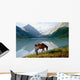 Horse Mountain Lake Ak-kem Wall Decal