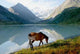 Horse Mountain Lake Ak-kem Wall Decal