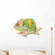One Yemen chameleon 