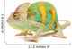 One Yemen chameleon 