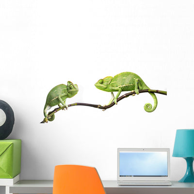 Chameleons shown on a wall
