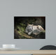 WHITE TIGER on a Rock 