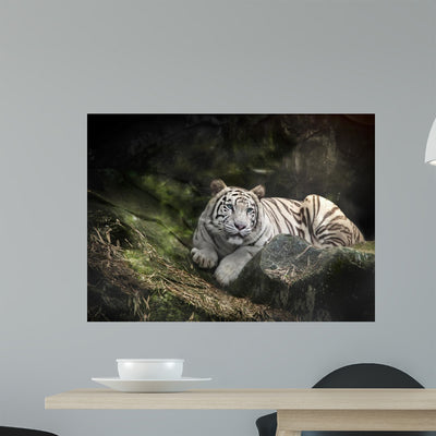 White Tiger Rock shown on a wall