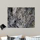 Wet Rock Texture Wall Mural