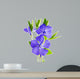 flower periwinkle 