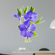 flower periwinkle 