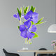 flower periwinkle 