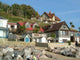 Steephill Cove Wall Decal