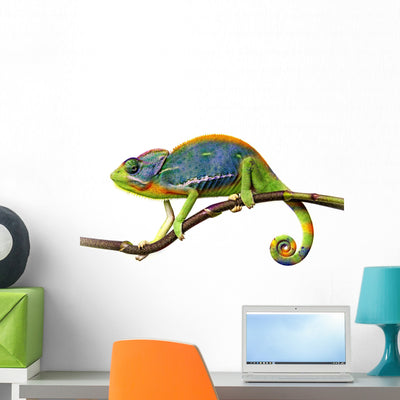 Blue Chameleon Wall Decal shown on a wall