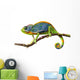 chameleon Wall Decal