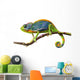 chameleon Wall Decal