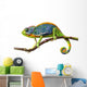 chameleon Wall Decal