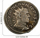 Ancient Roman Silver Coin Wall Decal