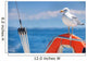 Seagull 