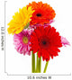 Colored Gerber Flower Wall Decal