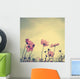Vintage Cosmos flowers in sunset time 