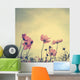 Vintage Cosmos flowers in sunset time 