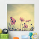 Vintage Cosmos flowers in sunset time 