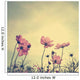 Vintage Cosmos flowers in sunset time 