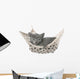 Cute Gray Kitten Lying in Hammock 