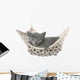 Cute Gray Kitten Lying in Hammock 