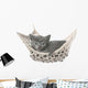 Cute Gray Kitten Lying in Hammock 