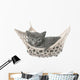 Cute Gray Kitten Lying in Hammock 