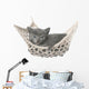Cute Gray Kitten Lying in Hammock 