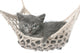 Cute Gray Kitten Lying in Hammock 