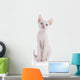 The White Kitten with Blue Eyes Sits on a White Background. 