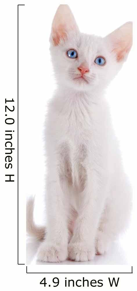The White Kitten with Blue Eyes Sits on a White Background. 