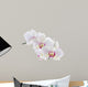 Orchid White 