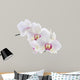Orchid White 