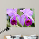 Double Vision Wall Mural