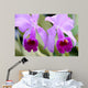 Double Vision Wall Mural