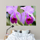 Double Vision Wall Mural