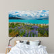 Lake Tekapo 