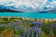Lake Tekapo 