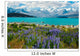 Lake Tekapo 