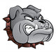 Bull dog Wall Decal
