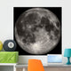Full Moon Wall Decal Design 1