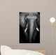 Wild African Elephant (Artistic Edit) 