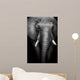 Wild African Elephant (Artistic Edit) 
