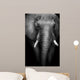 Wild African Elephant (Artistic Edit) 