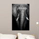 Wild African Elephant (Artistic Edit) 