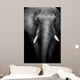 Wild African Elephant (Artistic Edit) 
