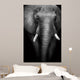 Wild African Elephant (Artistic Edit) 