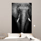 Wild African Elephant (Artistic Edit) 