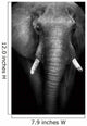 Wild African Elephant (Artistic Edit) 