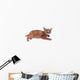 Blue-eyed Baby Caracal Wall Decal